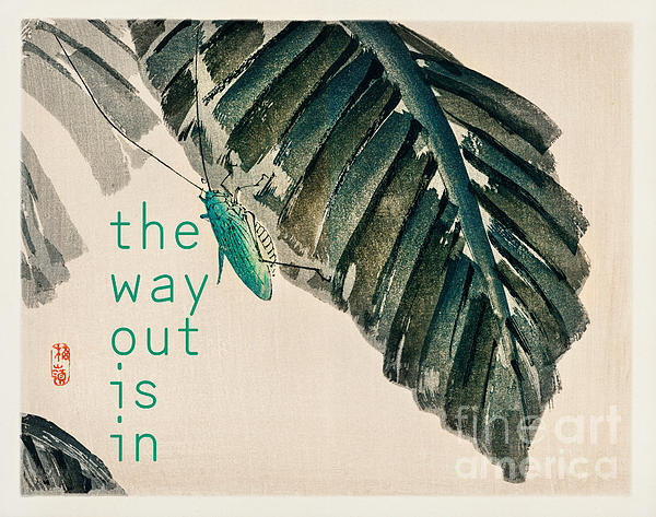 Diane Hocker - The Way Out is In- a  Mantra from the great Zen Master -Thich Nhat Hanh.