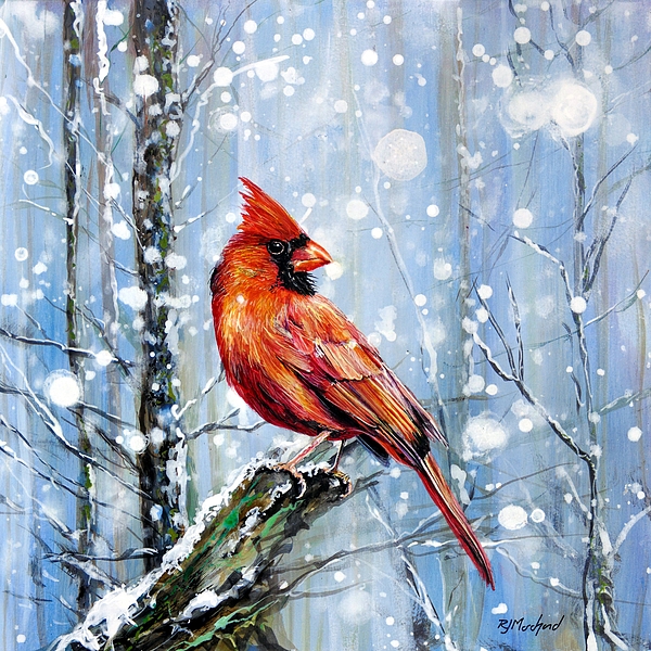 Cardinal Art