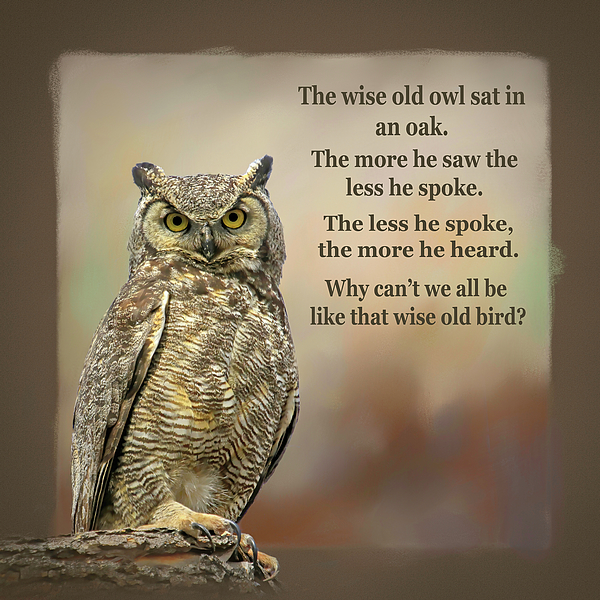 The Wise Old Owl Poem Fleece Blanket by Donna Kennedy - Pixels Merch