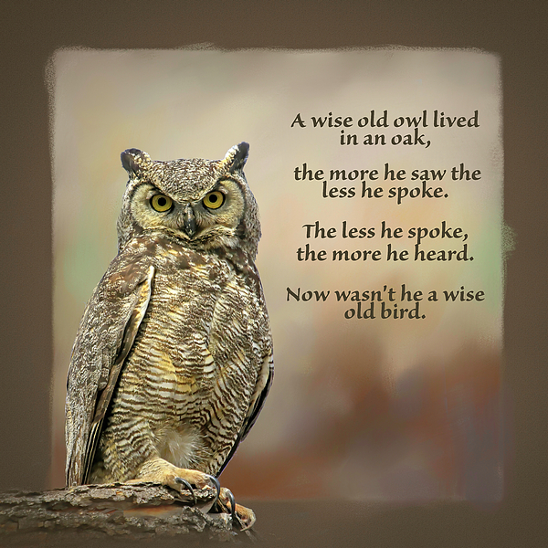 The Wise Old Owl Poem Fleece Blanket