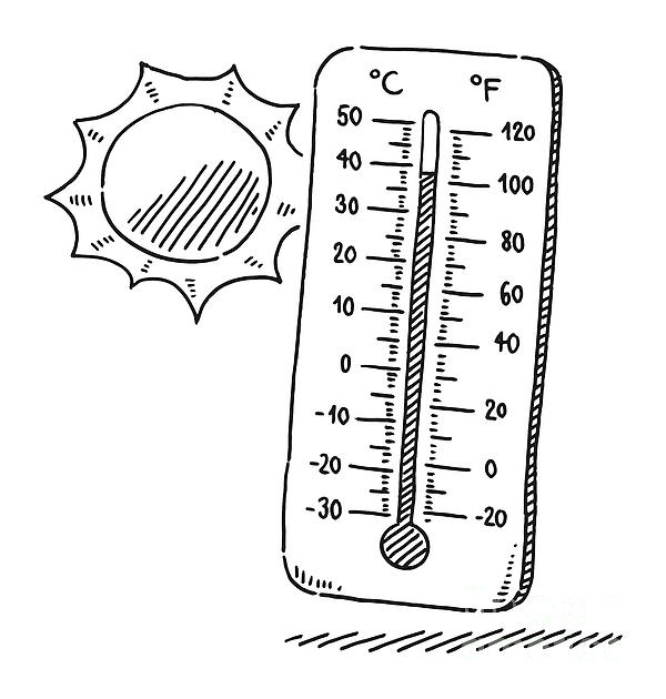 Thermometer for food. stock illustration. Illustration of safe