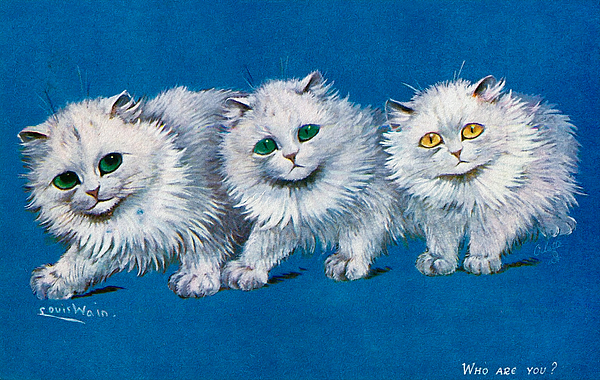 Persian Cat by Louis Wain Framed Print by Orca Art Gallery - Fine Art  America