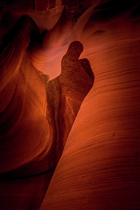 Harry Beugelink - Thumbs Up carved by Erosion in Owl Canyon -  Portrait Format