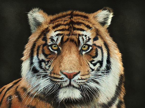 Tiger string art portrait