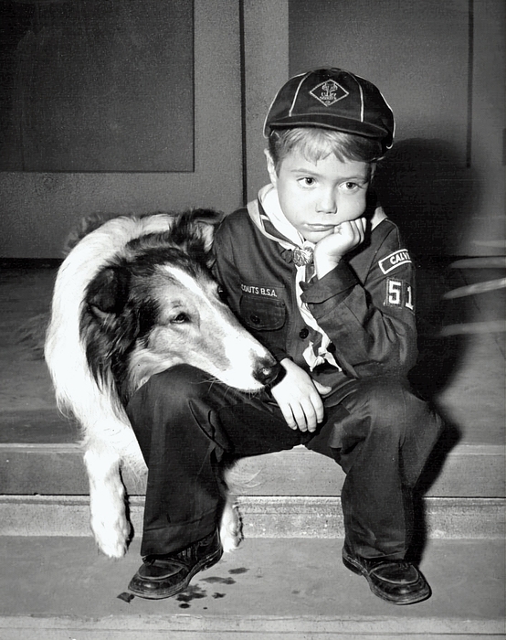 Set photo - Linda Howes Website - Timmy And Lassie 1958