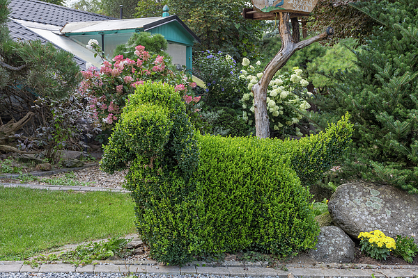 State Room Topiary Note Cards