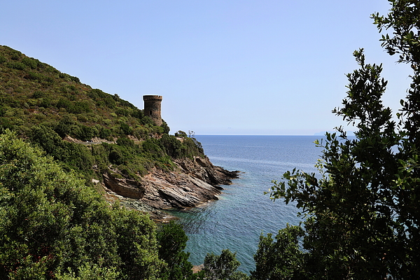 Corsica Art