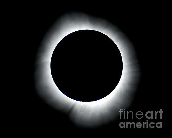 Jennifer Jenson - Total Solar Eclipse 2024