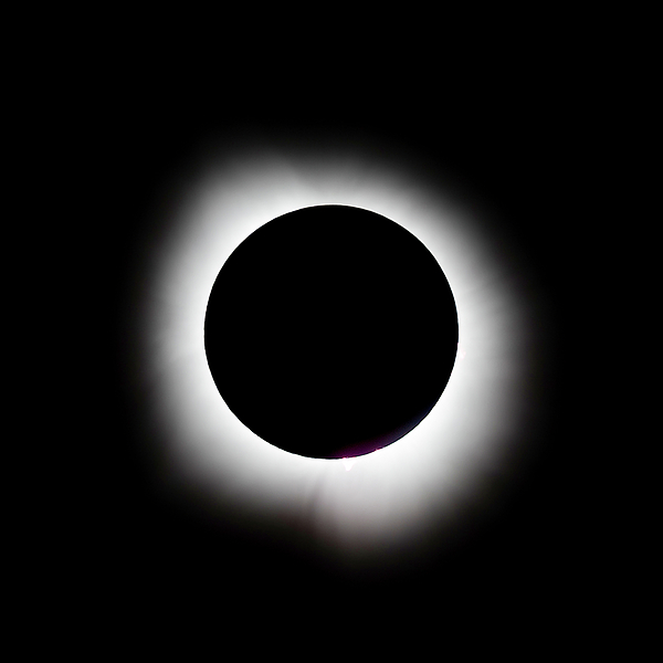 Dale Kincaid - Total Solar Eclipse Corona