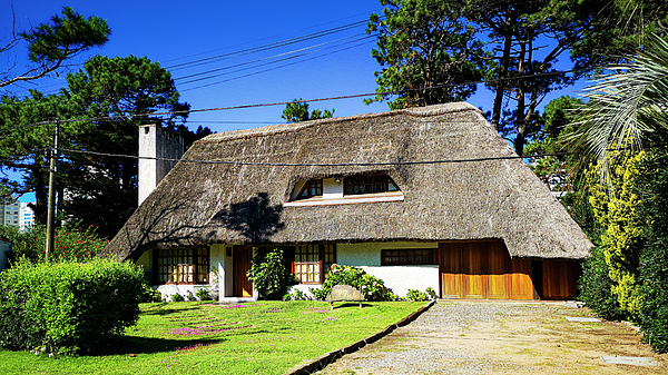 Aydin Gulec - Traditional House 