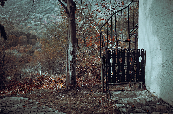Rural Art