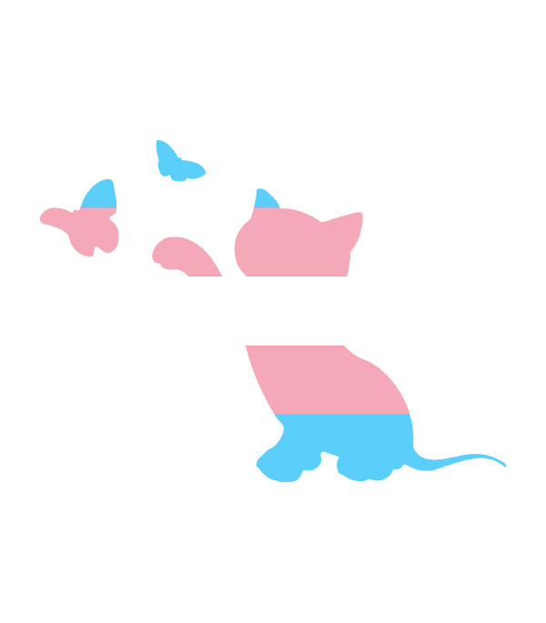 Protect Trans Rights Transgender MTF Trans Pride Shirt Protect