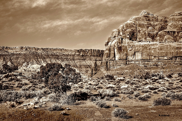 Michael R Anderson - Tree In Red Rock Country - Sepia