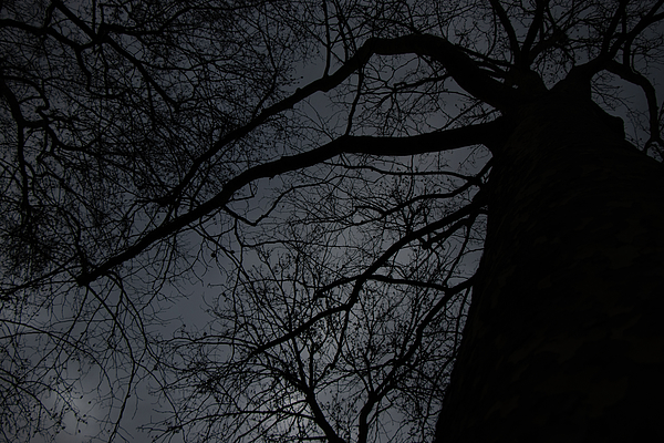 Winter Photographs