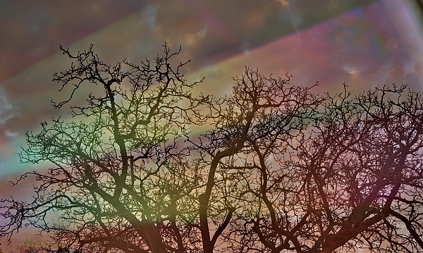 Dreamlike Art