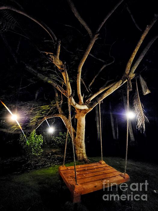 Adam Copp - Tree Swing in the Stars