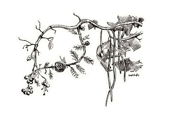 Seasons Art