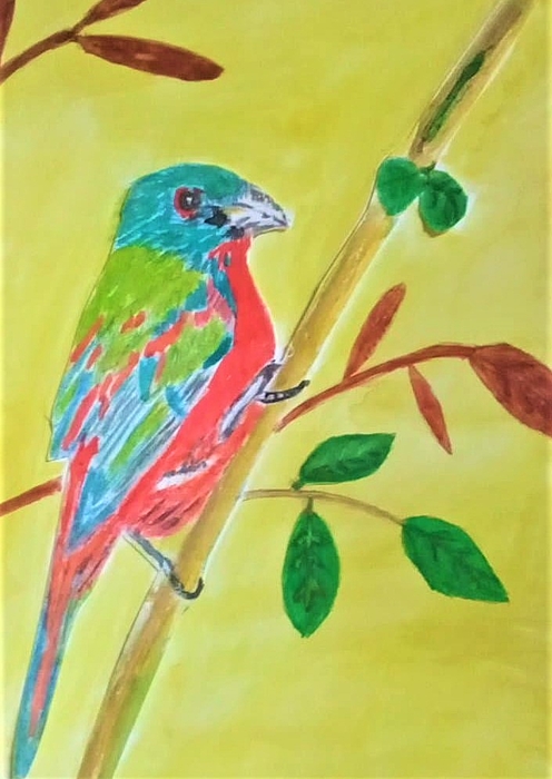 Marine B Rosemary - Colorful Tropical Bird