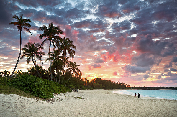 Dave Allen - Tropical Caribbean White Sand Beach Paradise at Sunset