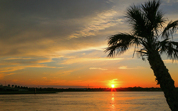 Donna Kaluzniak - Tropical Sunset over the San Pablo River