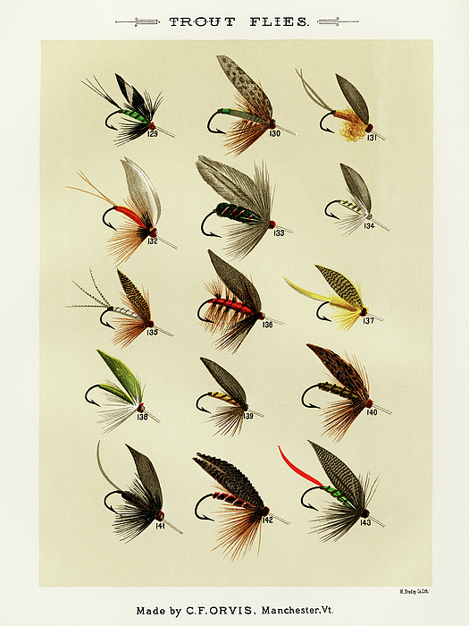 Trout Fishing Flies I from Favorite Flies and Their Histories Jigsaw Puzzle  by Mary Orvis Marbury - Fine Art America