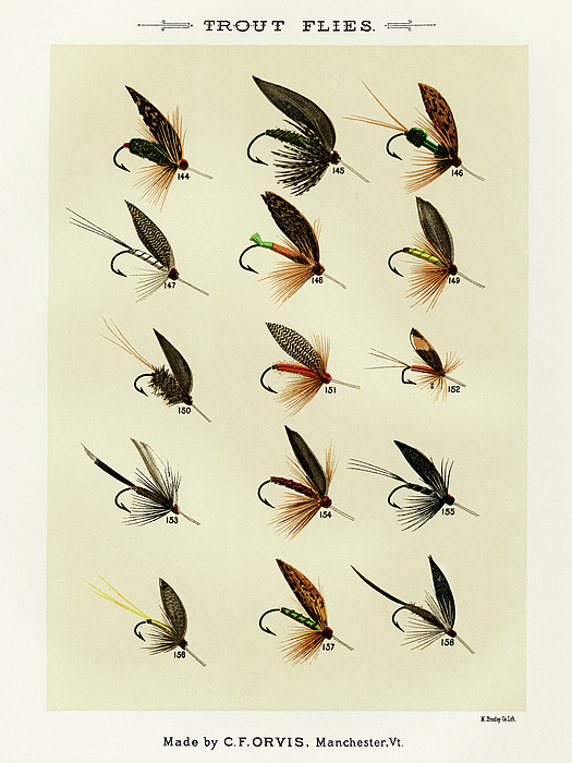 Trout Fishing Flies IX from Favorite Flies and Their Histories Jigsaw  Puzzle by Mary Orvis Marbury - Fine Art America