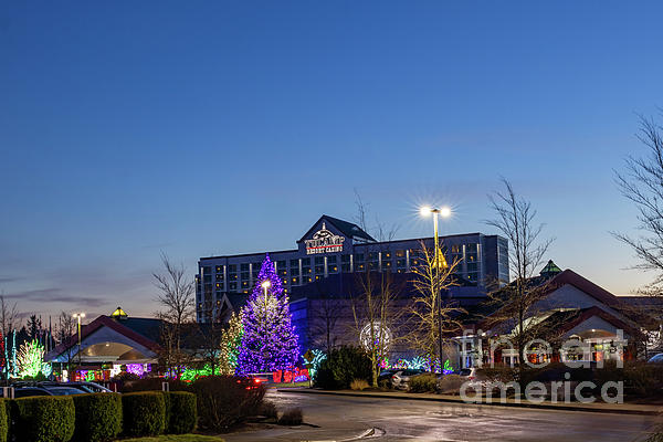 Christmas Photographs
