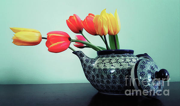 Michelle Hastings - Tulips In A Teapot