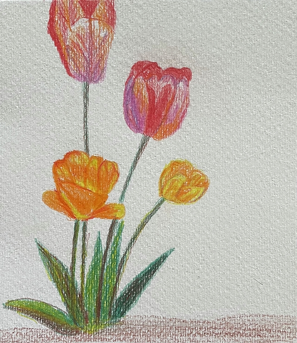 Beryl Jasper - Tulips in frame