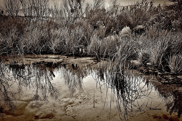 Michael R Anderson - Turquoise Desert Spring in sepia
