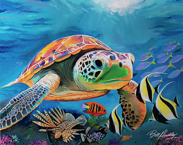 Bill Dunkley - Turtle in Suns Reflection