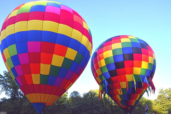 Lisa Wooten - Two Hot Air Balloons