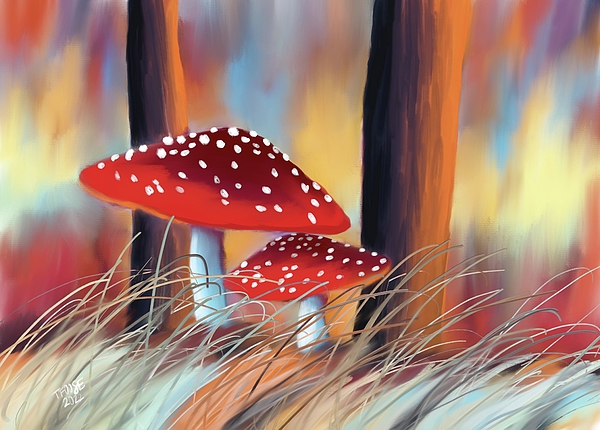 Taphath Foose - Two Red Mushrooms