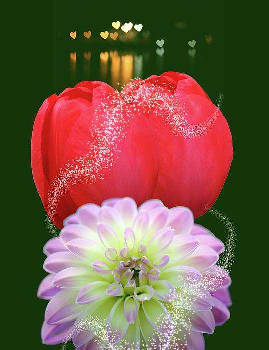 Johanna Hurmerinta - Two Red Tulips And A Pink Dahlia With Glitter