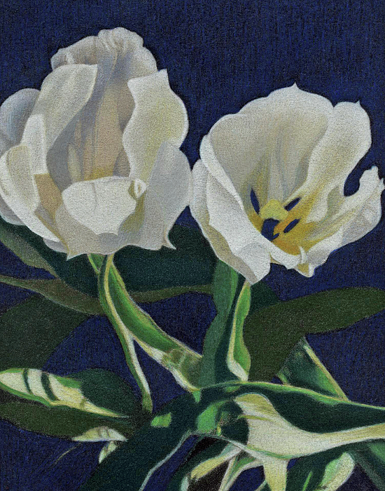 Denise Brehob - Two Tulips