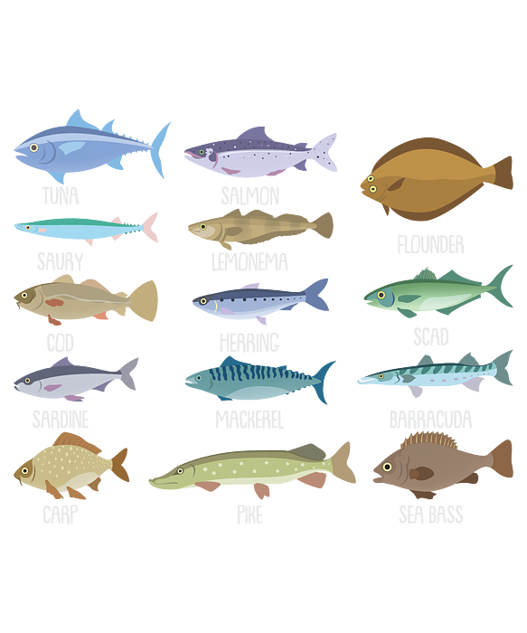 Types Of Freshwater Fish Jigsaw Puzzle by Steven Zimmer - Pixels