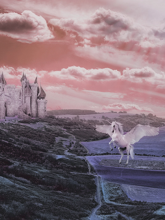 Judy Vincent - Unicorn Kingdom Fantasy Colors