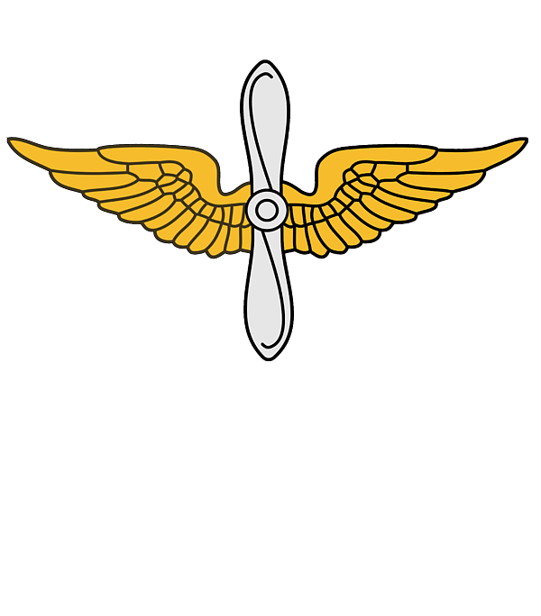 US Army - Aviation - US Army Patch - Ruby Lane