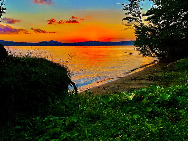 Landscape Art