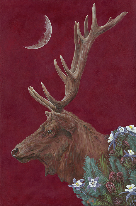 Flower Paintings