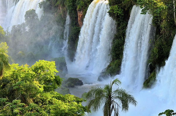 Sheri Fresonke Harper - Upper Iguazu Falls with Tropical Vegetation in Argentina South America