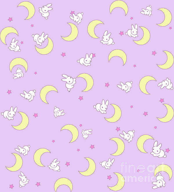 Sailor moon 2025 usagi blanket