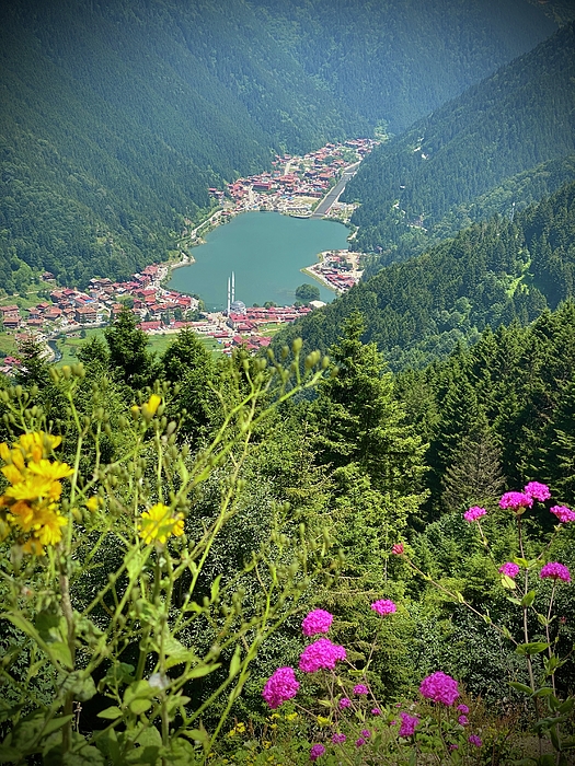 Anas Afash - Uzungol Lake-2