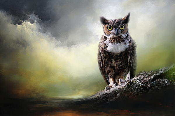 Jai Johnson - Verdant Sky Owl