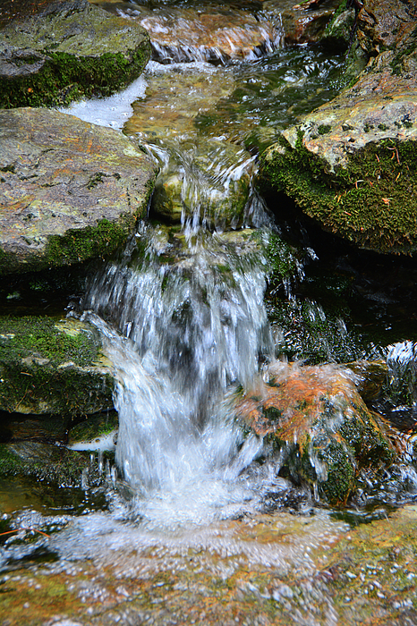 Moss Rocks and River Photograph by Raymond Salani III - Pixels