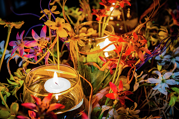 Flowers Still Life Photographs