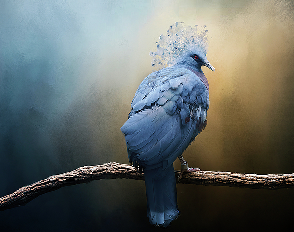 Nature Art