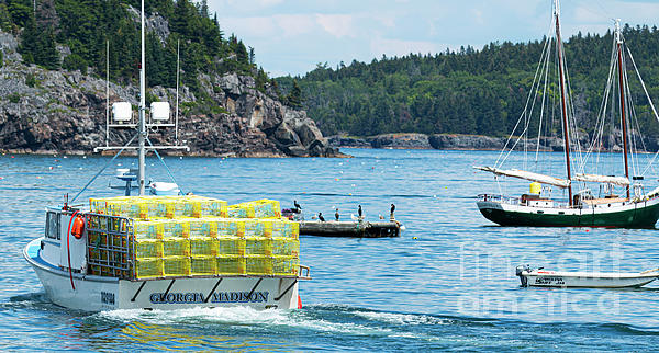 View of Fishing boat full of yellow lobster pots in bay with Por