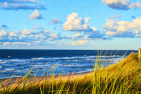 Dean Wittle - View of the Baltic Sea from the Dunes - DWP1413648
