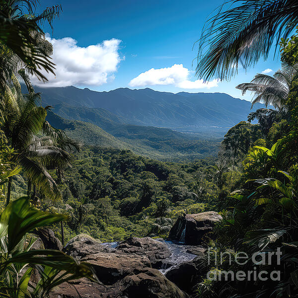 Elisabeth Lucas - View of the Tropics Costa Rica